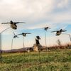 DEADLY DECOYS® Duck and Goose Flyer Decoys -1 Decoy