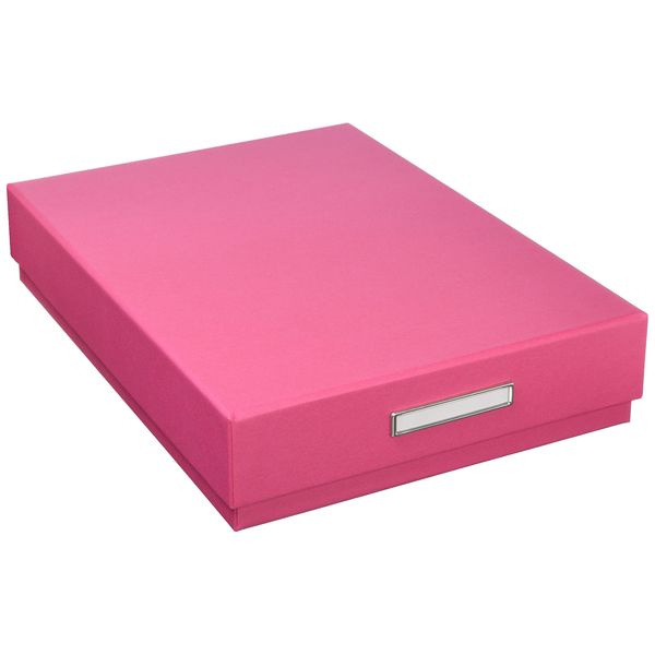 TAKEMEKI Tool Box, Inner Dimensions 9.4 x 13.2 x Height 2.6 inches (240 x 335 x 65 mm) (Pink/Jade Green), Storage Box, A4 Size, Clear File Can Hold