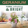 33 Oz Liquid Hand Soap Refill Pouch with Geranium