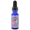 Angelic Essence DNA Clearing Kit 3 15ml