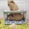 hamster bed pet bunk bed easy to install