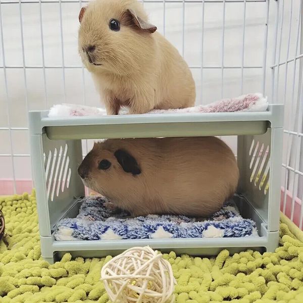 hamster bed pet bunk bed easy to install