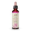 Bach Original Flower Remedies, Sweet Chestnut for Optimism, Natural Homeopathic Flower Essence, Holistic Wellness and Stress Relief, Vegan, 20mL Dropper