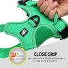 Truelove Soft Front Dog Harness .Reflective No Pull Harness with Handle and 2 Leash Attachments