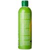 Texture My Way Hydrate Intensive Moisture Softening Shampoo, 12 Ounce