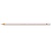 Coloured Pencil A.Durer 270