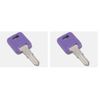 AP Products 013-690310 Global Replacement Key #310
