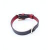 COACH CX158-IMXD0 Small Dog Collar