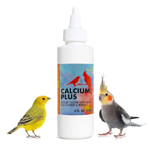 Morning Bird Calcium Plus Liquid Supplement for Birds - Liquid Calcium Formula with Magnesium and Vitamin D3 Calcium Supplement for All Birds – 4 Fl Oz
