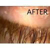 Myboclean Hydrating Lids and Lash Cleansing Gel, Made from Organic Ingredients, Manuka Honey UMF 16+, Aloe Vera, Coconut Oil, 2 Fl Oz