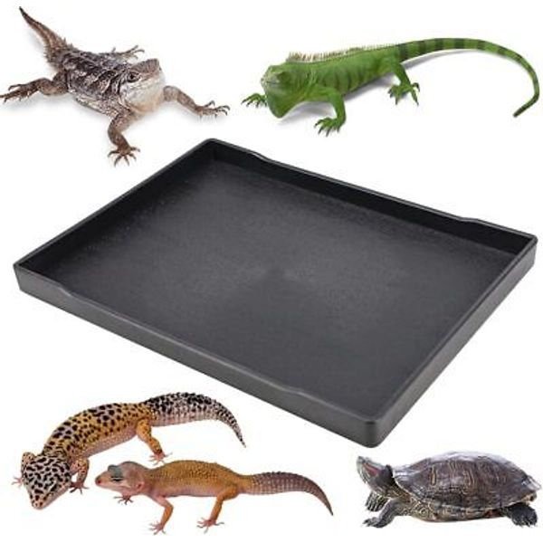 Reptile Food Water Bowl Plate Dish for Tortoise Crawl Pet Size3-L, Black