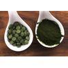 Blue Green Algae Tablets - PURE SPIRULINA 500mg - Promotes Healthy Bacteria