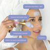 Antioxidant face mask