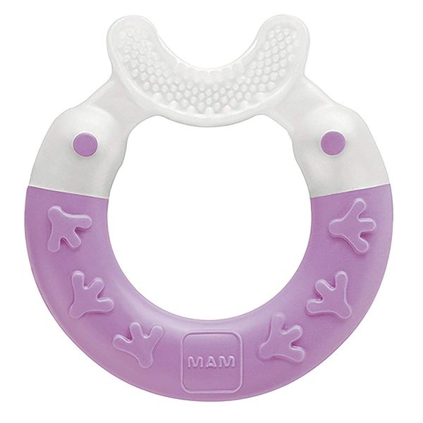 MAM 2-in-1 Bite & Brush Baby Teether, Relieves Teething Symptoms in Babies 3+ Months, Stimulates Sensory Development, 1 Pack, 3+ Months, Violet/Girl