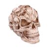 Nemesis Now James Ryman 18cm, Ivory Skulls