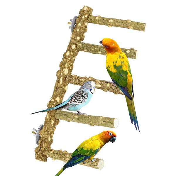 CZWESTC Natural Wooden Bird Ladder Wooden Bird Bridge Bird Ladder Perch Parakeet Perch for Macaws, Small Parakeets, Conures, Budgies, Finches, Bird Cage Accessories