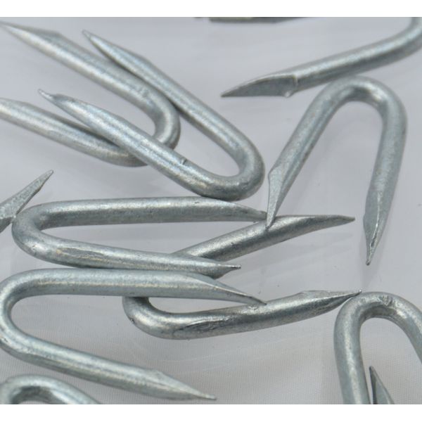 Galvanised Staples (CHOOSE YOUR NAIL SIZE) (CHOOSE YOUR PACK SIZE) Fencing Netting U Staple Nails (50, 20mm)