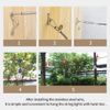 164FT Vinyl-Coated 304 Stainless Cable Outdoor String Lights Hanging Kit