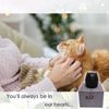 Matte Ceramic Cat Ashes Urn - Handicrafted Keepsake Memorial Gift, Black
