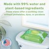 McKesson Flushable* Personal Wipe 7.5 x 12.5" DXLU96 6 Pack 576 Wipes
