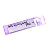 Boiron Iris Versicolor 30C for Heartburn & Headaches - 80 Pellets