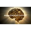 BRAIN MEMORY SUPPORT - Brain vitality, Cognitive Brain Booster Supplements -2B