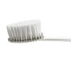 Radius Replacement Heads Soft 2 Pack