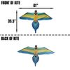 WindNSun Rainforest Nylon Kite, Macaw, 60 Inches Wide