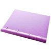 Filofax Classics Assorted A4 Pastels Clipbook Duo Set: Orchid & Rose Set