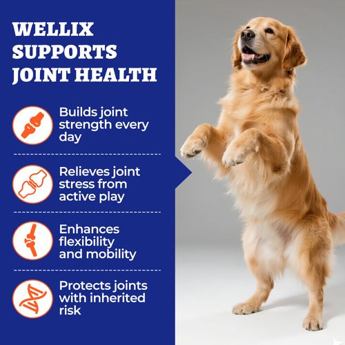 260 Bites Wellix Dog Hip and Joint Supplement Arthritis Pain Relief with Glucosamine Chondroitin MSM Natural & Functional Ingredients Joint Care Chews for Senior Dogs