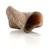 Shot Mug AUD Genuine Sheep Horn Natural Outside