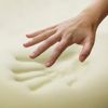 3" small double Memory Foam Mattress Topper & 2 Free Memory Pillow