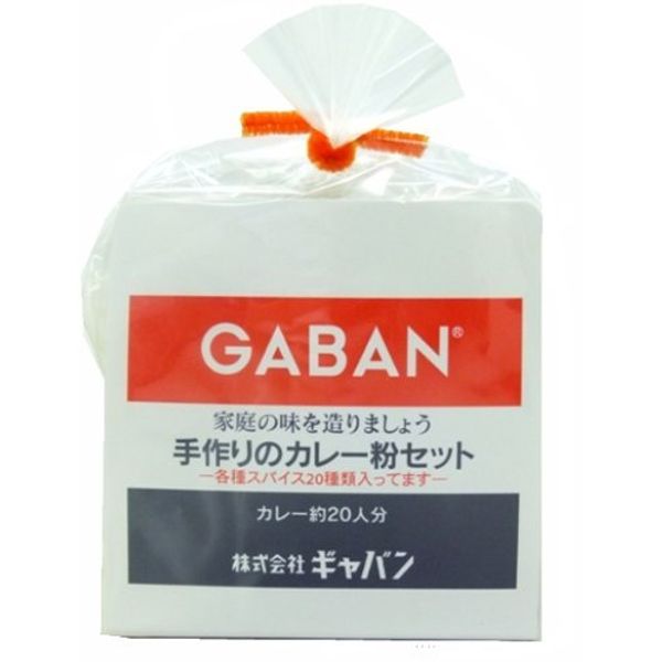 GABAN Handmade Curry Powder Set (Bag) 3.5 oz (100 g) x 2 Sets
