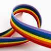 Rainbow Ribbon 38mm x 10 Metres