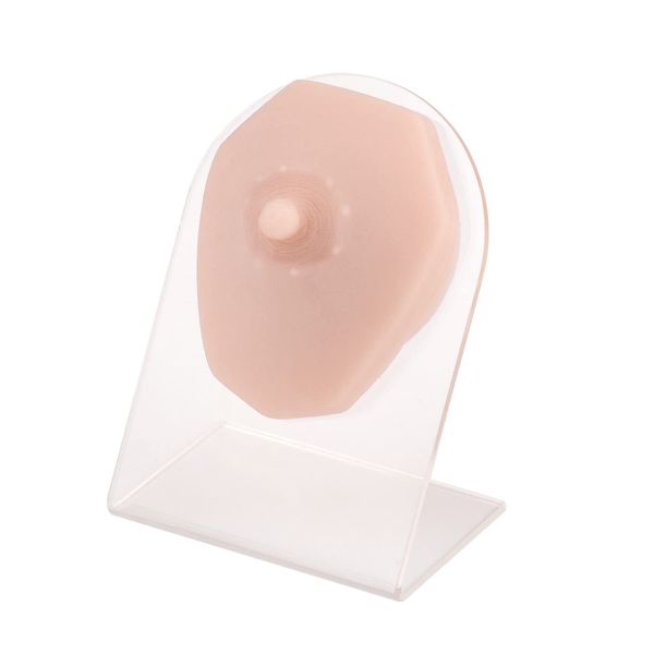 SimCoach Soft Silicone Piercing Model with Acrylic Stand, Piercing Practice Body Parts, Flexible Mold for Jewelry Display