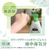 Komill Natural Tea Tree Oil, Gel Liquid Hand Soap, 10.1 fl oz (300 ml) x 1, Made in Turkey