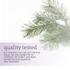 NOW Pine Oil, 1 Fl Oz (Pack of 2)