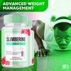 (2 Pack) Slimberine Natural Loss Capsules Powered by Nature Advanced Supplement