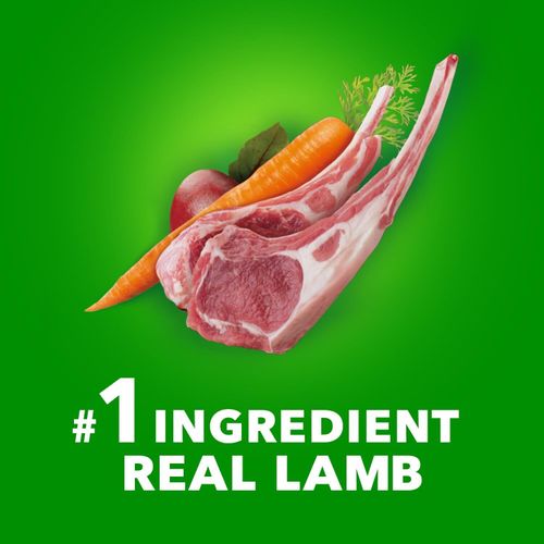 IAMS ProActive Health Lamb and Rice Large Breed Adult Dog Food 30 lb Bag