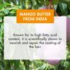 Klorane Shampooing au Beurre de Mangue 200ml