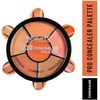Insight Cosmetics Pro Concealer Palette (Concealer)