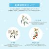 yukisei lotion tailoring soap