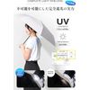 FULIZ  uv 100          