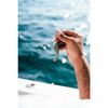 Berkley Gulp! Pogy,Sardine,3-Inch