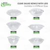 48oz Clear Plastic Disposable Salad Bowls with Lids 100pcs