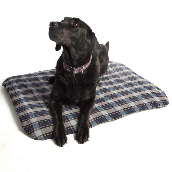 Promagnet Magnetic Pet Bed/ Cotton-Poly (SM 13 x 24) Made in the USA for 25 yrs