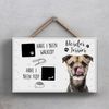 Global Designs Pets & Paws - Rope Plaque Border Terrier Walked And Fed