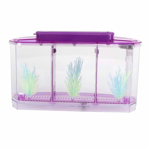 Betta Fish Tank, Adjustable Light Breeding Fish Tank with LED Light,Incubator Mini Fish Tank LED Acrylic Three Divisions Breeding Isolation Box for Small Fishes(Purple)