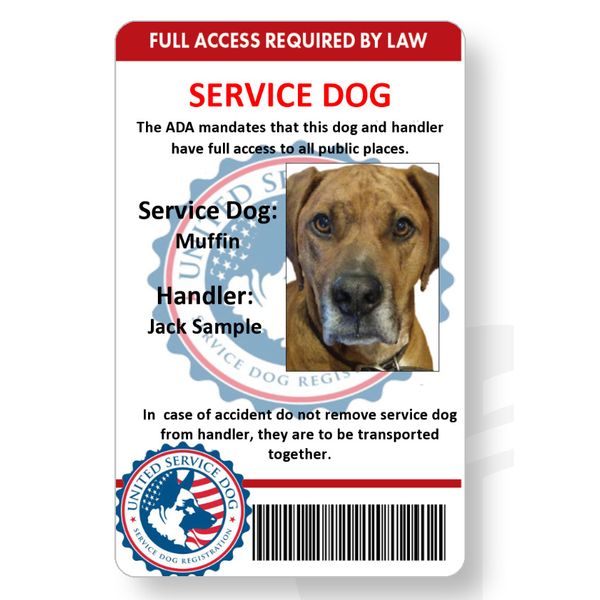 Service dog handler ID card printed in vivid full color mailed out same day