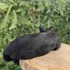 Vivid Arts - Laying Black Cat - XRL-DC61-D